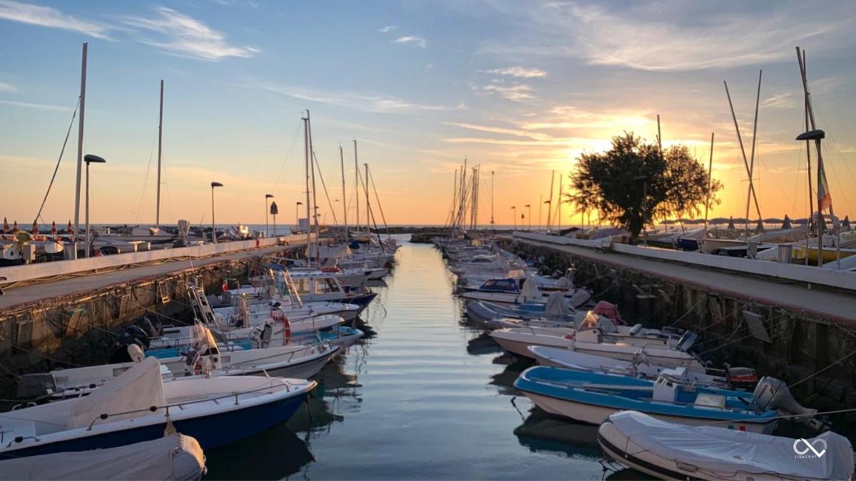 Hotel Acquamarina Viserba Rimini Dış mekan fotoğraf